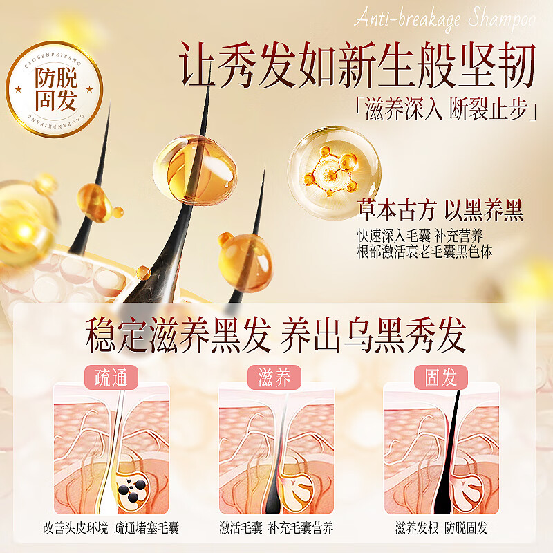 贺澧中药草本精华洗发水育发液防断发滋润蓬松强韧贺澧植物洗发液 防断护发洗发水500ML*2瓶