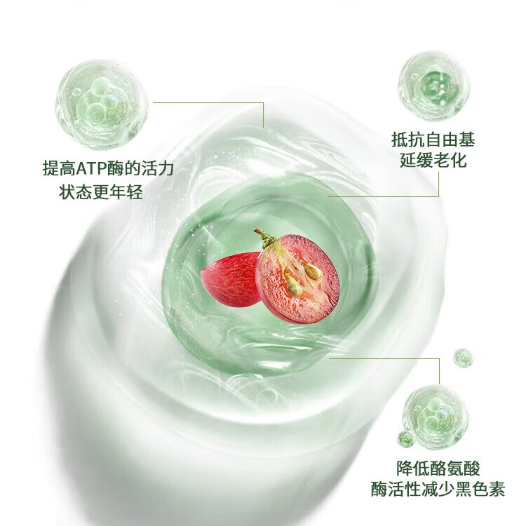 Lucovitaal进口反式白藜芦醇葡萄多酚全身抗氧焕白抗炎 高活性反式30粒  30粒*1瓶