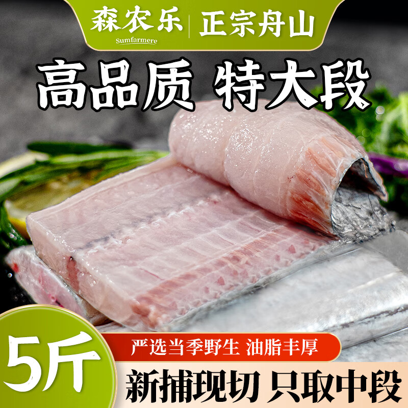 森农乐舟山带鱼段大号纯中段特大生鲜冷冻野生新鲜海鲜水产刀鱼无内脏 净重5斤家庭装【油脂丰厚中段】