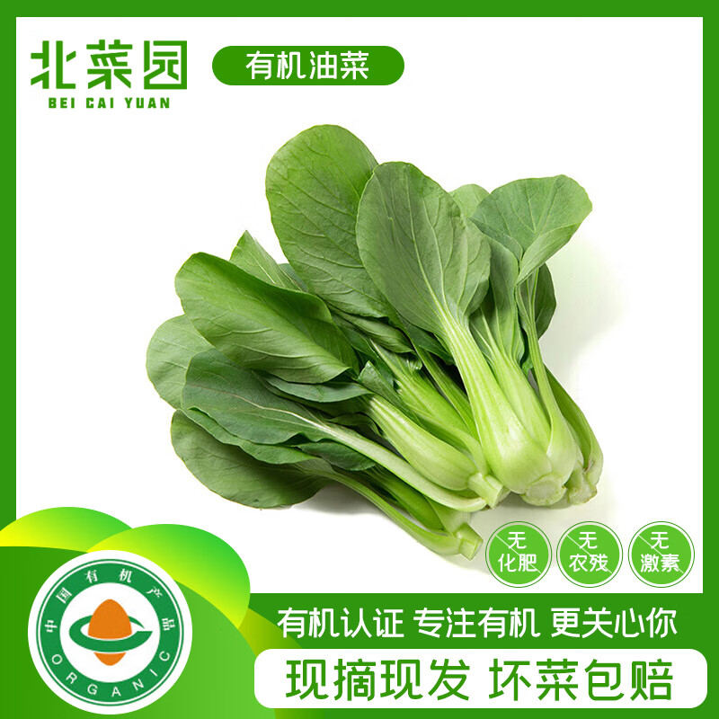 北菜园油菜有机油菜250g（上海青）新鲜蔬菜【进店多样加购】火锅食材 250g/份