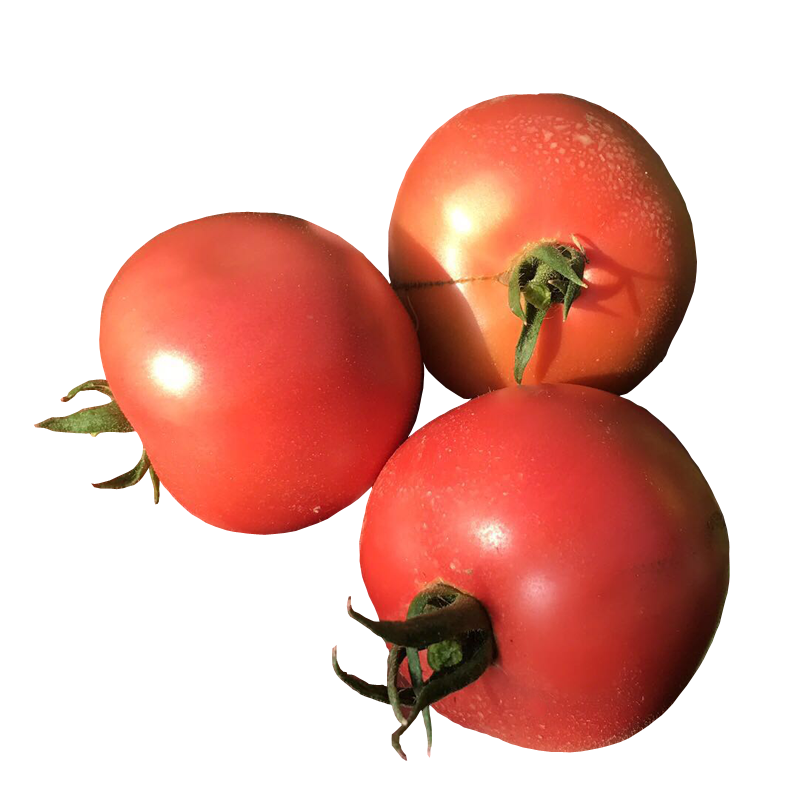 密水农家密云本地新鲜沙瓤西红柿 番茄 生鲜 蔬菜儿时味道 西红柿 2000g