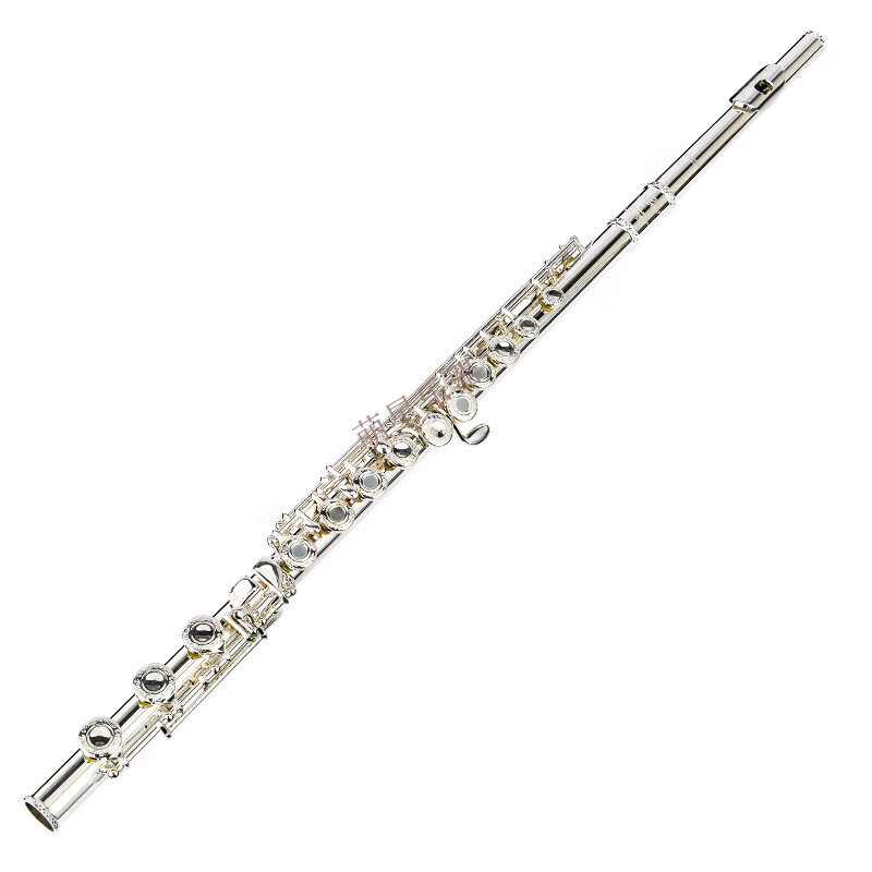 雅马哈（YAMAHA）原装雅马哈长笛乐器镀银C调16 17孔法式开闭孔两用初学考级 16闭孔长笛YFL-212SL(初学)