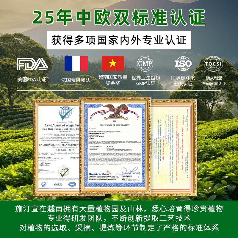 SAOTHAIDUONG进口儿童牙膏3-6-12岁防蛀儿童牙刷抗糖换牙期去黑黄去斑菌氟斑牙 【全网热销】草本牙膏100g*1支