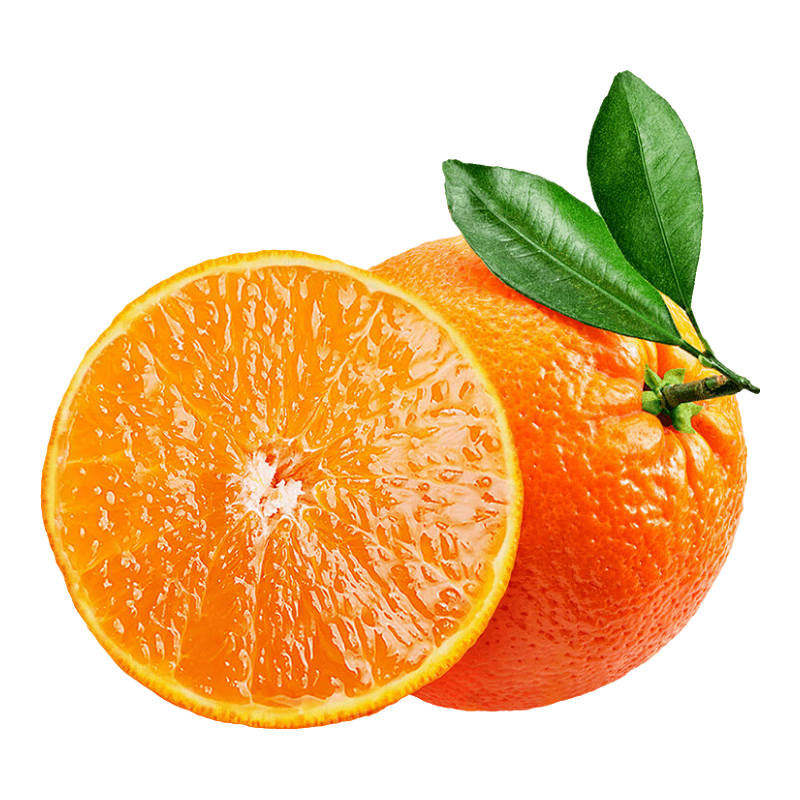 ʹ 38Ź ˮ  8ﾻ 75mm+ 21.9Ԫ