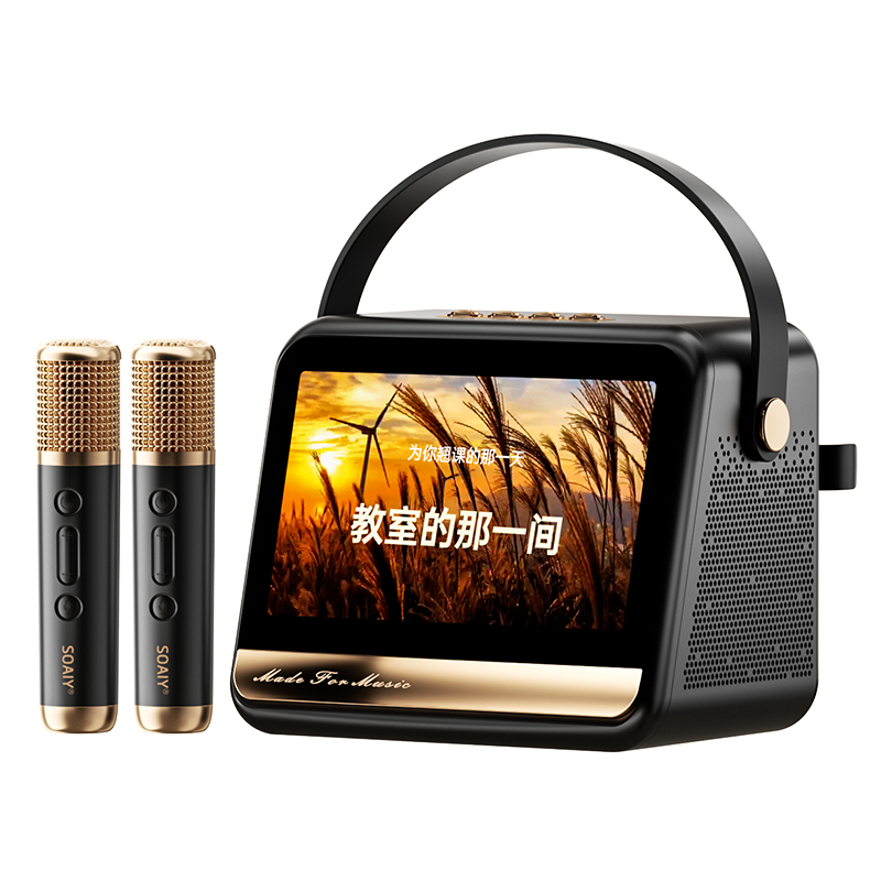 索愛(ài)(soaiy)GC520Pro 歌詞音箱k歌話筒麥克風(fēng)一體式兒童戶外用家庭用ktv唱歌男女生日圣誕禮物 黑金