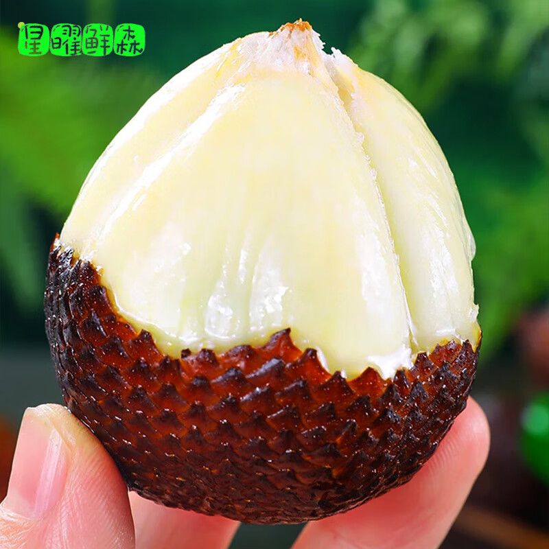 星曜鲜森顺丰包邮印尼进口蛇皮果新鲜进口稀有罕见特大水果沙叻 1斤(6-9个)【5A进口大果】 40-80g单果 东三省西藏新疆内蒙不要拍-偏远地区容易坏
