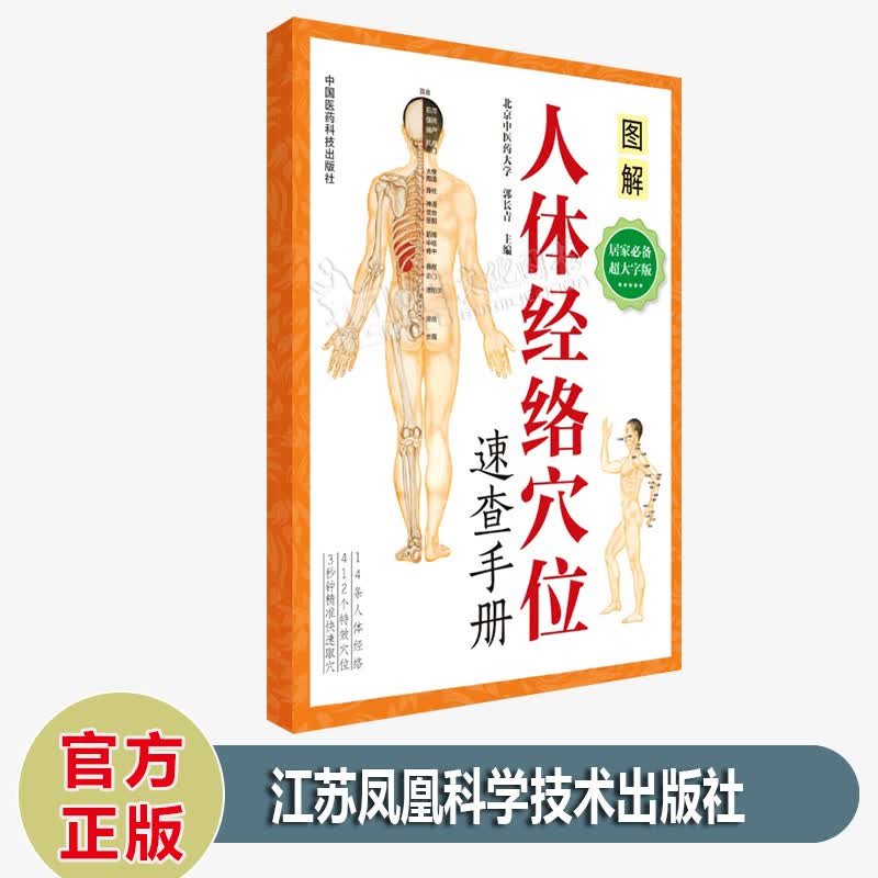 现货 人体经络穴位速查手册 北京中医药大学图解 人体穴位图中医针灸按摩 中国医药科技出版社