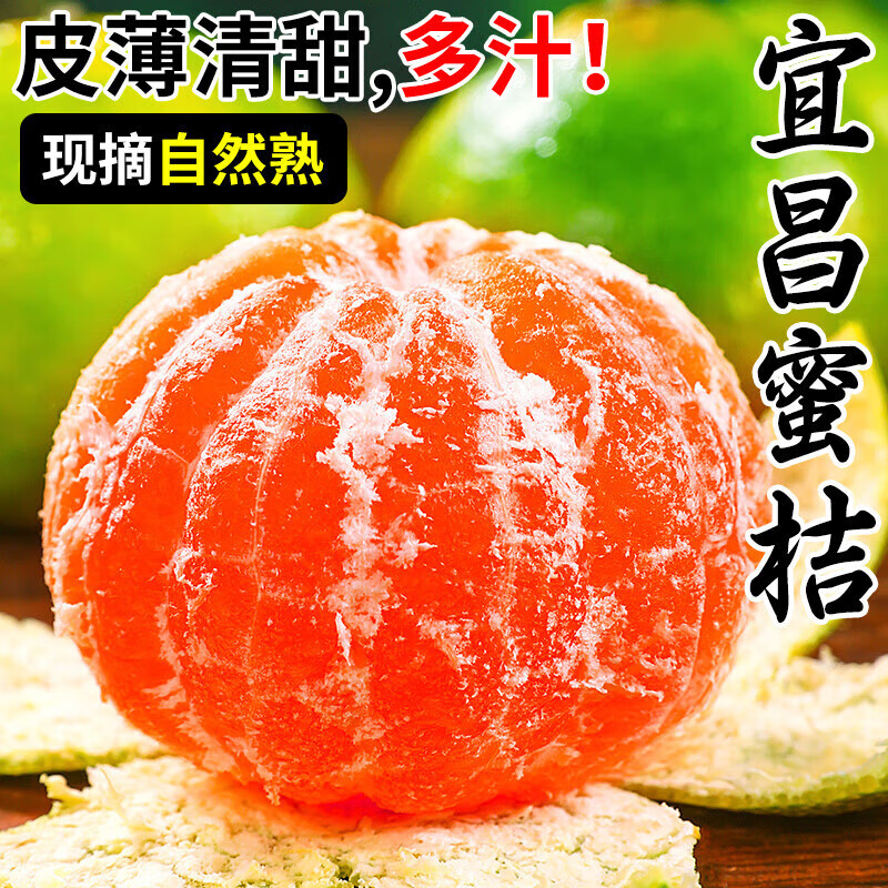 久雅优鲜湖北蜜橘 (源头直发)酸甜宜昌青皮无籽桔子当季高山新鲜水果 净重4.5-5斤甄选大果（65mm+）