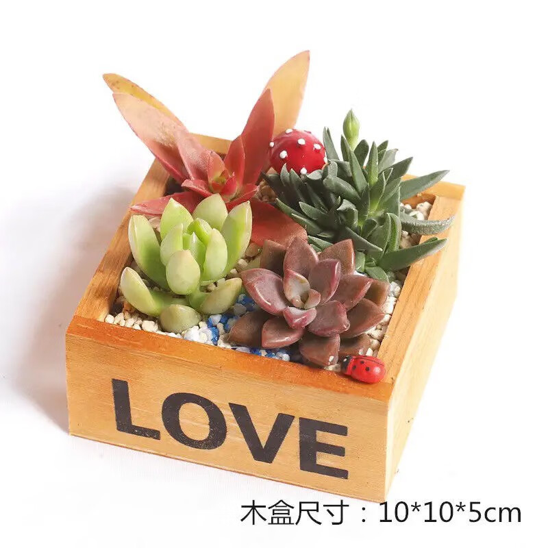 �����ȶ���ֲ����� ��love ľ�У��Ŀ������ ����