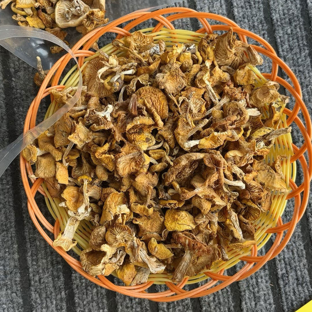 鹿玥盏东北野生小黄蘑菇野山菌珍油蘑松蘑菇干货蘑菇丁土特产500g