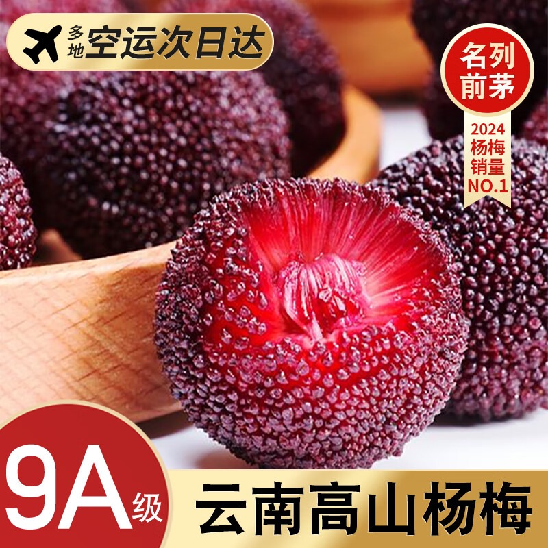 田良季仙居东魁杨梅 4斤单果8-15g