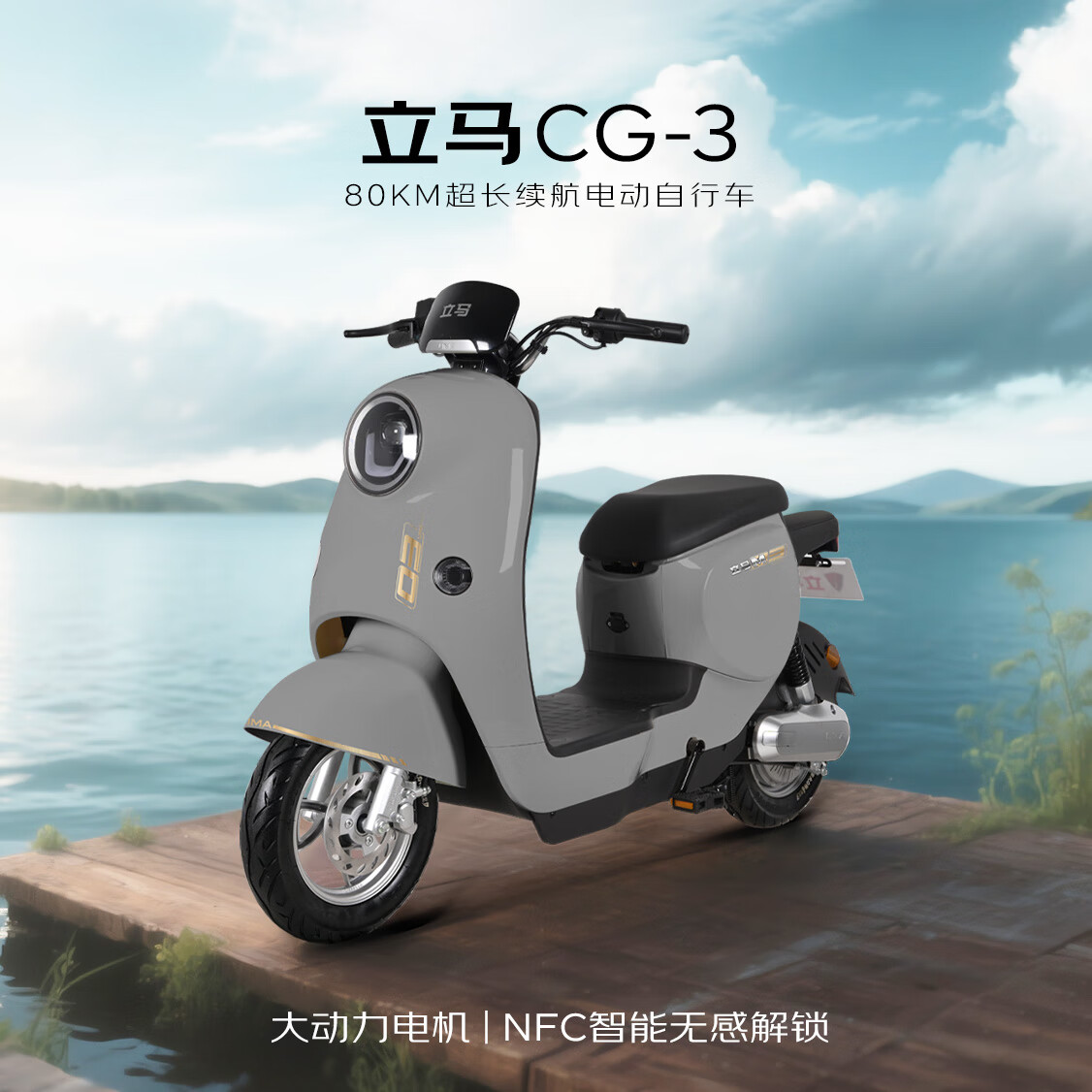 立马【CCTV大国品牌】东哥送年货同款电动自行车CG-3 宁德时代汽车级锂电48V24Ah电动车自行上牌 灰