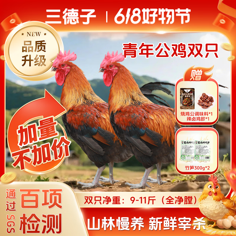 三德子好甄選 青年公雞 農(nóng)家散養(yǎng)跑山雞整只 4.5-5.5斤/只 2只