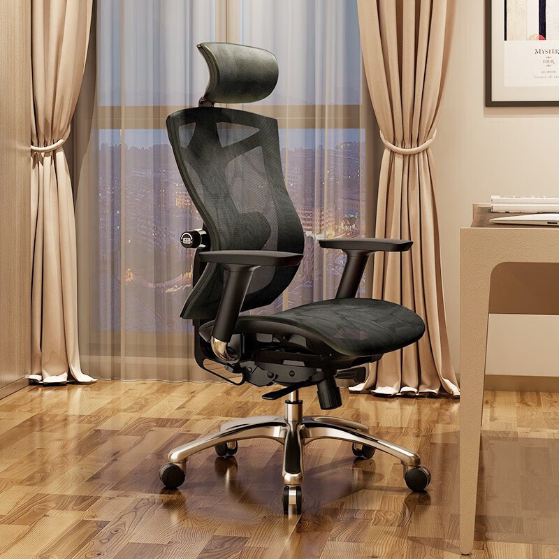 西昊（SIHOO）西昊V1人体工学椅老板椅办公座椅家用舒适久坐电脑椅子转椅电竞椅 v1黑网