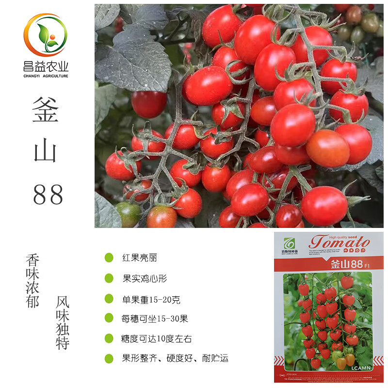 原装釜山88玲珑小番茄种子孑大红色樱桃番茄种籽釜山88小番茄苗子