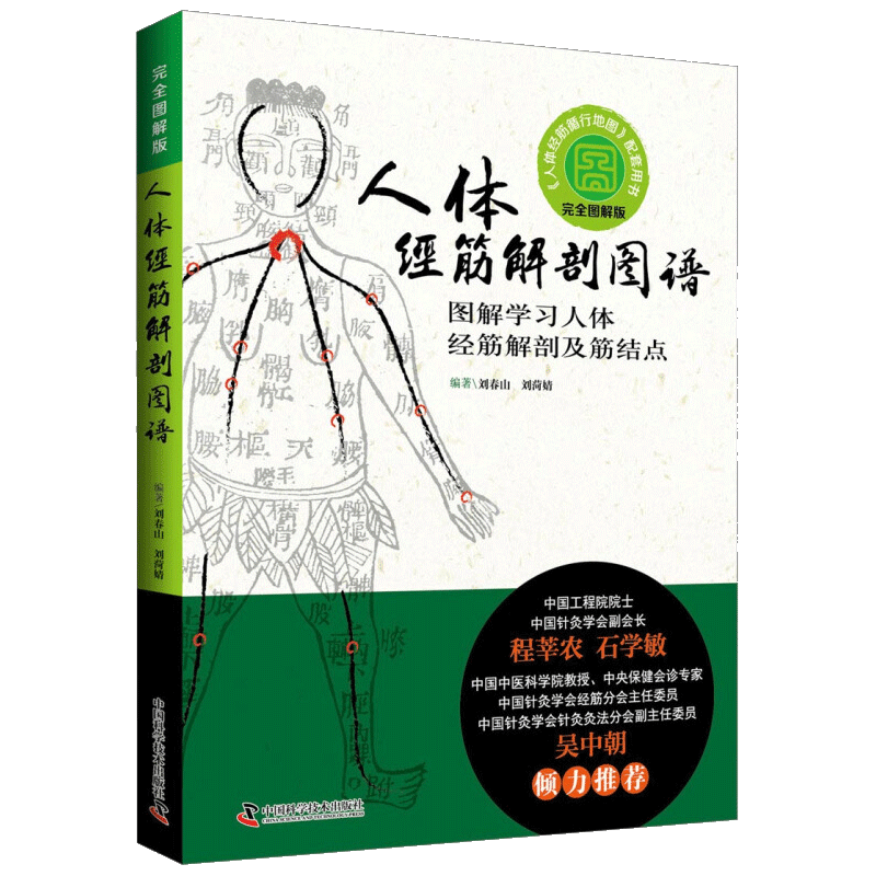 现货正版 完全图解版:人体经筋解剖图谱 图解学习人体经筋解剖及筋