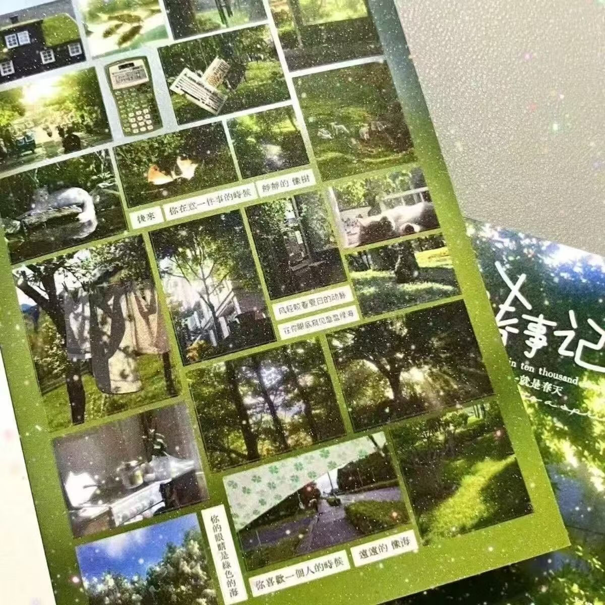 治愈早春贴纸书手帐本切膜学生日记diy树叶绿色装饰素材ins风 早春日记贴纸书2本【48张】+镊子