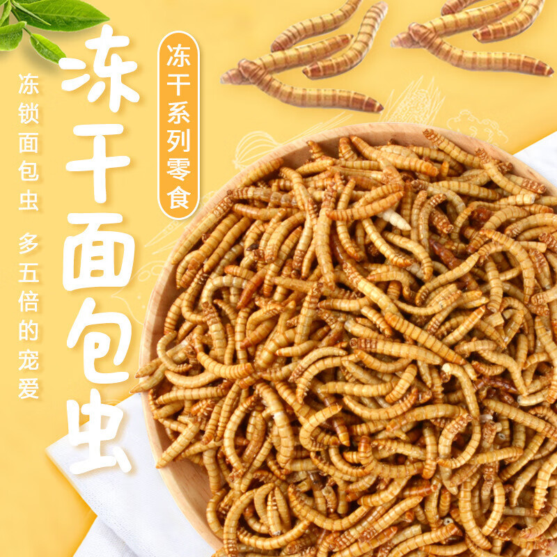 跑來(lái)跑去凍干面包蟲倉(cāng)鼠零食金絲熊糧食黃粉蟲干鼠刺猬用品 凍干面包蟲400ml