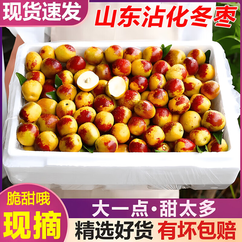 鲸咚亿农正宗山东沾化冬枣新鲜水果当季超脆甜冰糖牛奶枣现摘现发整箱 带箱5斤中果【单果12g+】性价比高