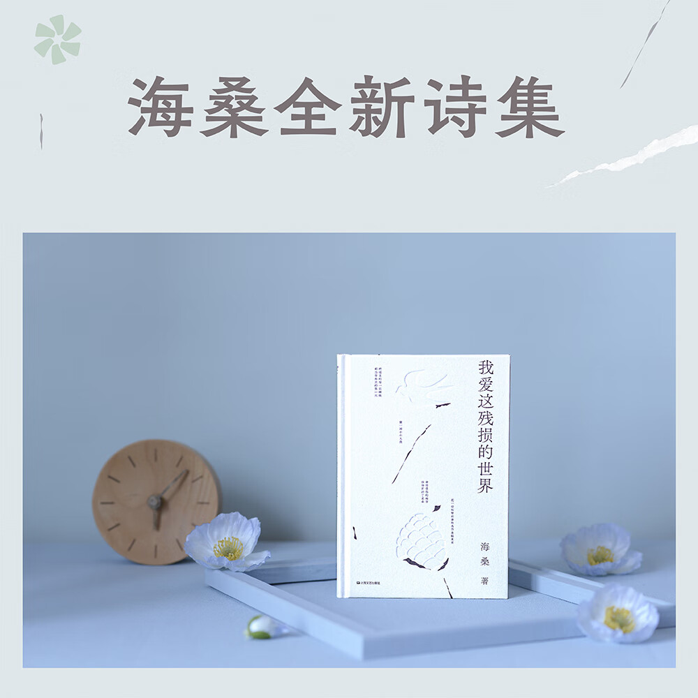 我爱这残损的世界 海桑 小嘉推荐 现代诗歌集 文学诗歌 出品 我爱这残损的世界