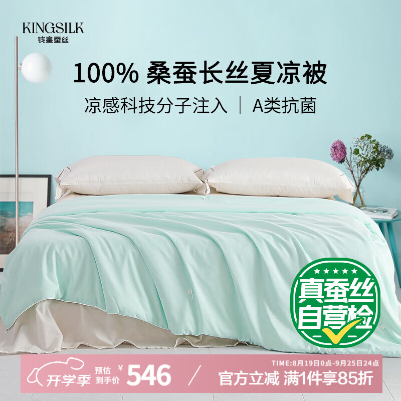 錢(qián)皇青絲涼感蠶絲被A類(lèi)100%桑蠶長(cháng)絲夏涼被薄荷綠凈重0.8斤 200*230cm