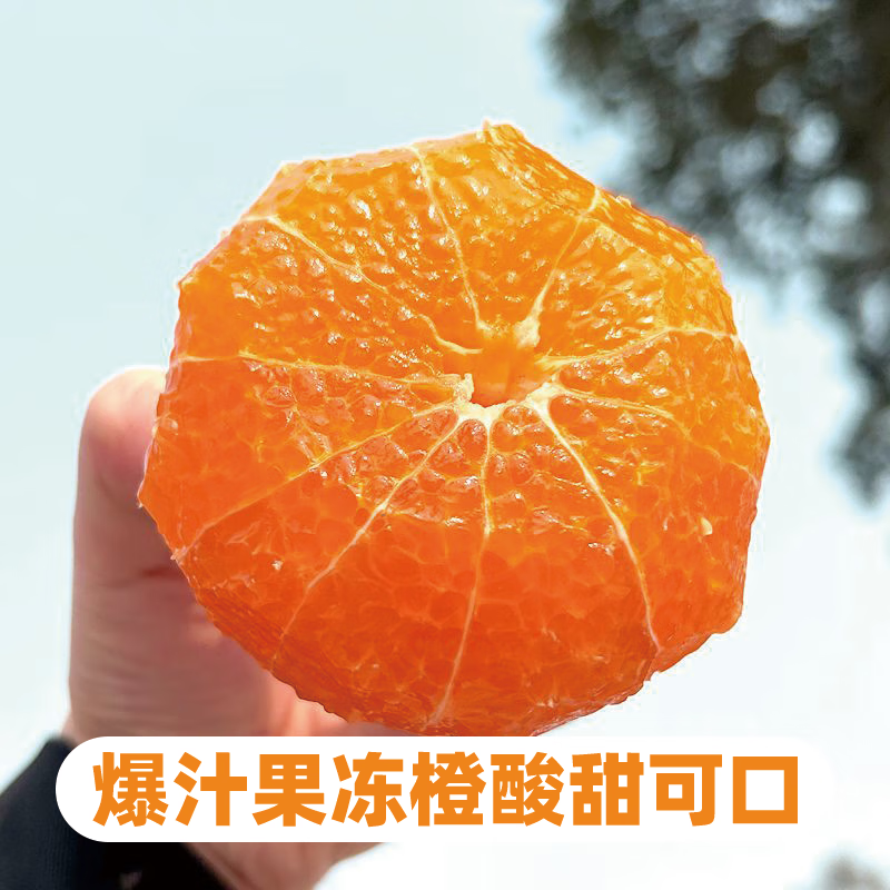 异果恋四川特产爱媛38号果冻橙新鲜应季超薄皮网红橙子酸甜可口水果应季 5斤小果【约16个】