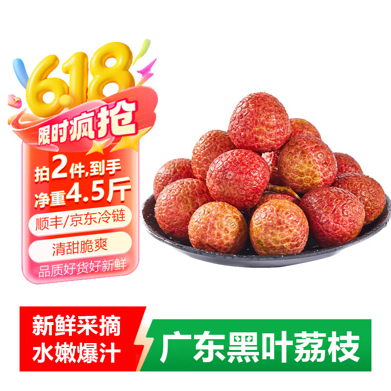 虔园广东黑叶荔枝 生鲜水果JD/顺丰冷链运输 新鲜采摘产地直发 带箱2.5斤【尝鲜装】