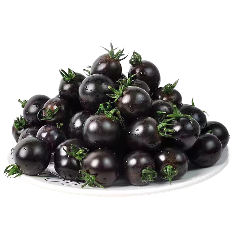 ���ش�ɽ��������С���� ����2�� ����8g+ ��ɫʥŮ��Դͷֱ������ 27.9Ԫ