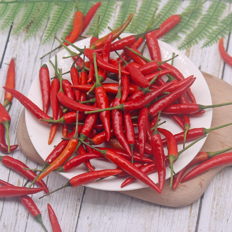 风筝王小米椒 辣椒 新鲜小米椒尖椒小米辣超辣朝天椒指天椒特辣产地直发 特辣现摘1斤