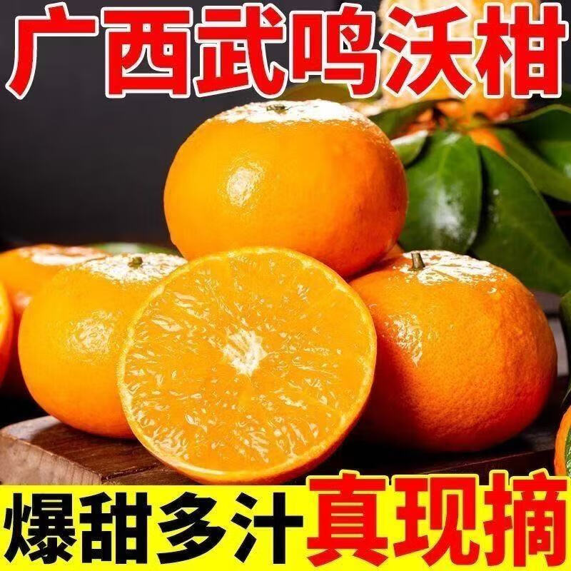 【东东农场专供】武鸣沃柑新鲜采摘现摘现发 沃柑2斤装
