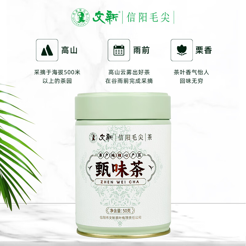 文新（WenXin Tea）春茶上市信陽毛尖茶葉綠茶2025新茶雨前嫩芽葉甄味茶罐裝50g