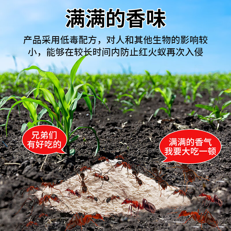 山甲牌蚂蚁药杀蚁胶饵灭蚁饵剂家用室内杀虫剂连环灭红火蚁杀黑黄蚂蚁 A7【30克】灭红火蚁专用