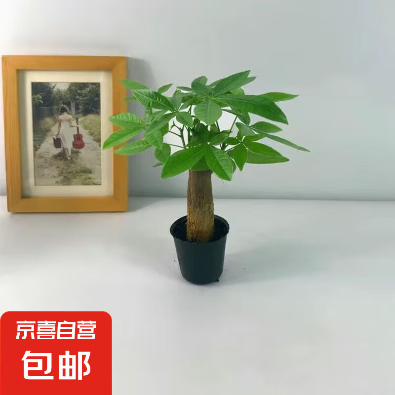 ��������������ֲ���������ȩ����С�辰�ļ�����칫�һ�����ֲ ���˷�����һ��