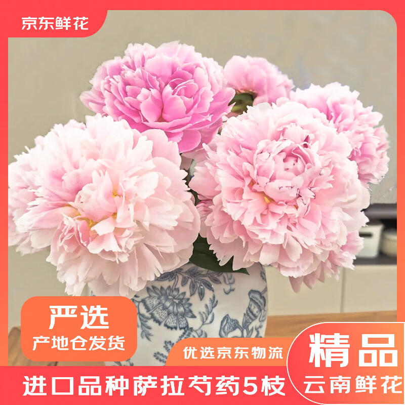 京东鲜花【产地仓严选】芍药进口品种萨拉5枝水蜜桃粉水养鲜切花