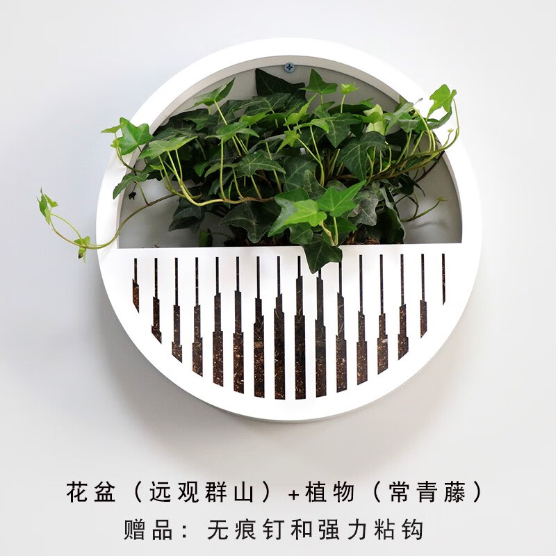 創(chuàng)意圓形壁掛花盆真墻上掛墻掛壁花架家居墻面裝飾掛件 遠(yuǎn)觀群山+常青藤無痕釘粘鉤
