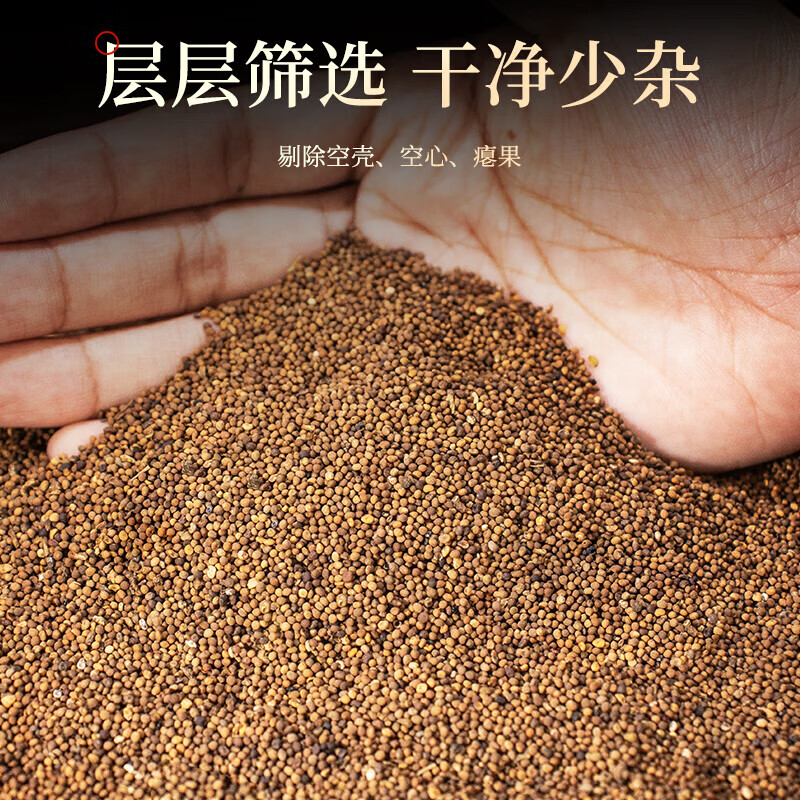 北京同仁堂内蒙古正品野生菟丝子沙苑子中药材500g一等品新货吐丝子泡茶养生 【精选菟丝子】买一送一共500克