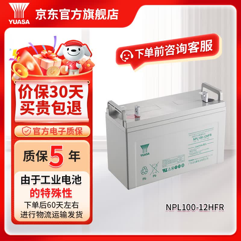 汤浅YUASA NPL系列铅酸免维护蓄电池 12V UPS不间断电源应急电源 NPL 100-12HFR【下单需咨询客服】