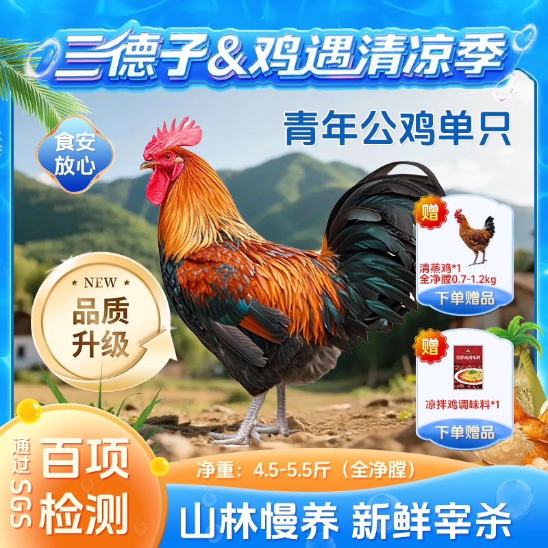 三德子好甄選 青年公雞 農(nóng)家散養(yǎng)跑山雞整只 4.5-5.5斤/只 1只（贈(zèng)清蒸雞+調(diào)味料）