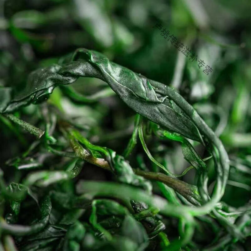 北京同仁堂毛冬青云南野生茶毛冬青中药材500g特级毛冬青茶叶明前嫩芽
