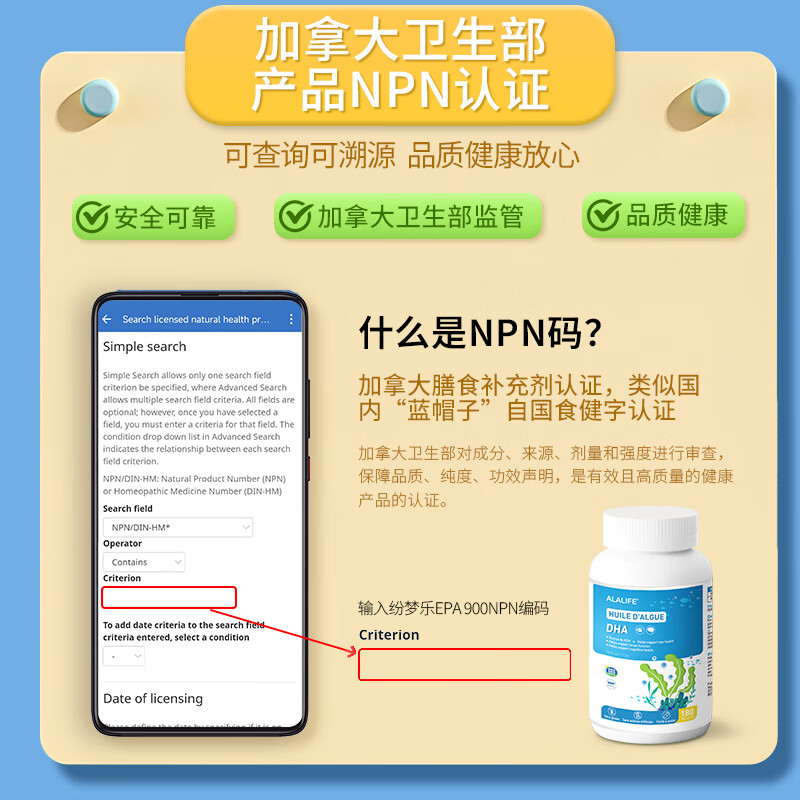 ALALIFE蓓贝一生儿童藻油DHA软胶囊青少年天然植物脑黄金加拿大原装进口 50%高纯度藻油DHA量贩装180粒