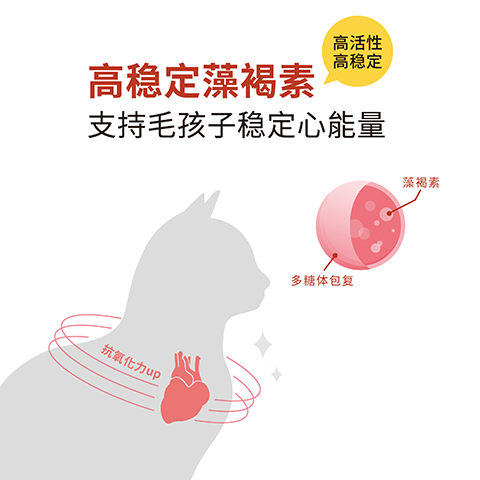 Hi-Q pets藻芯沛宠物心脏机能护理保健品营养补充剂 提高猫狗抗氧化力 一盒