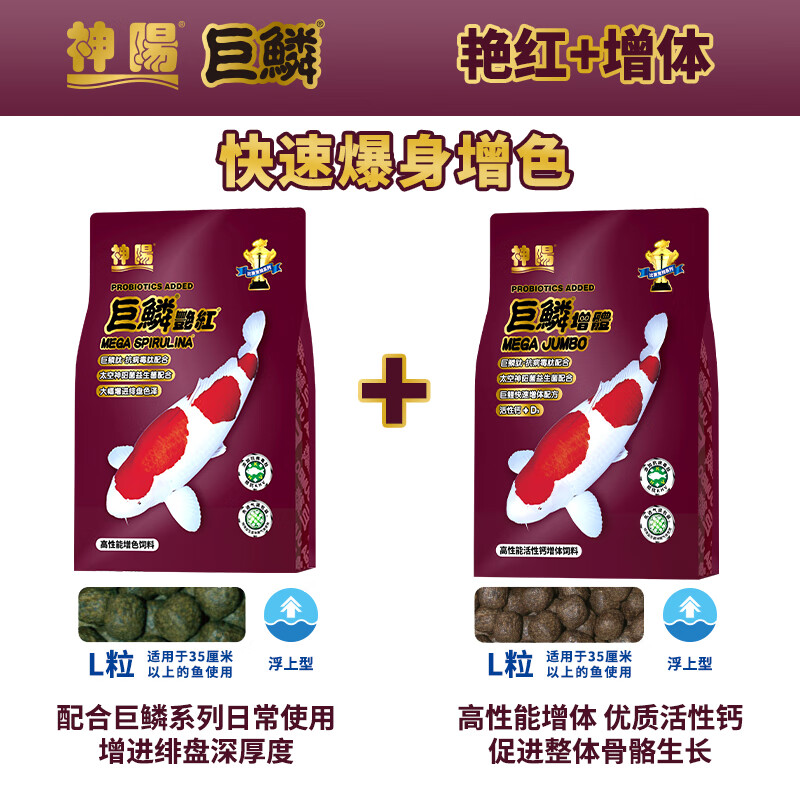 神阳巨鳞锦鲤鱼饲料高蛋白增色增体专用鱼粮赛级营养鱼食搭配套餐 艳红1kg+增体1kg L粒（快速爆身增色）