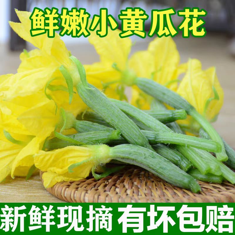 风筝王【顺丰】黄瓜花 新鲜小黄瓜花 青瓜花 特嫩水果黄瓜顶花 黄瓜仔 现摘黄瓜花 3斤