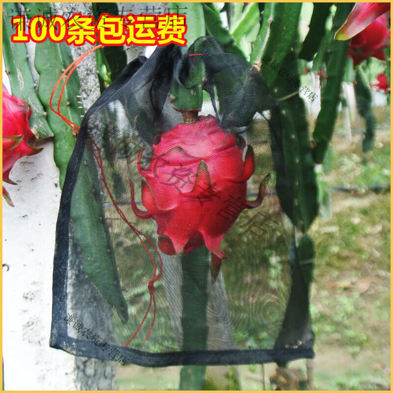 微匣水果防鸟防果蝇防虫网袋黑色火龙果专用套袋套果袋规格齐全 火龙