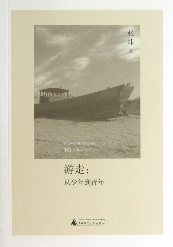 游走--从少年到青年