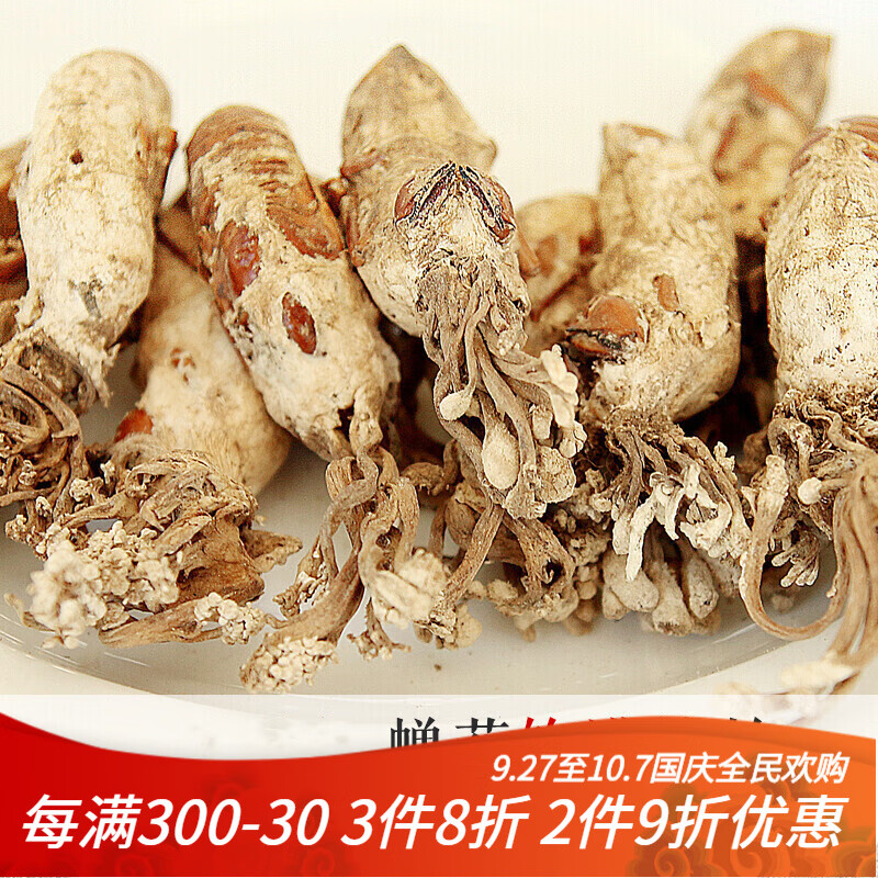 磊祥庄【官方直售 金蝉花野生新货大别山竹林蝉花知了花虫草 250g
