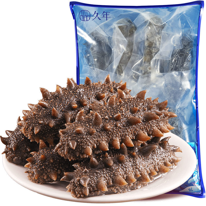 久年 4星級(jí)大連即食海參獨(dú)立包裝 冷凍遼刺參開(kāi)袋即食 海鮮水產(chǎn)禮盒 500g 6-9頭 袋裝