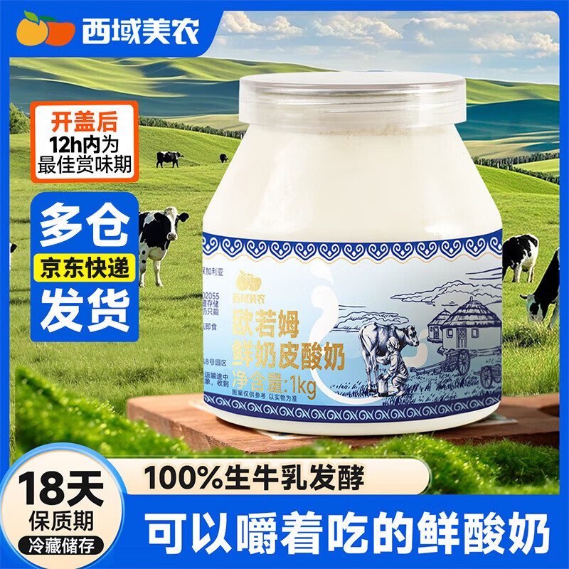 西域美农鲜奶皮子酸奶1kg*2 内蒙古手工奶皮子老酸奶不添加防腐剂源头直发