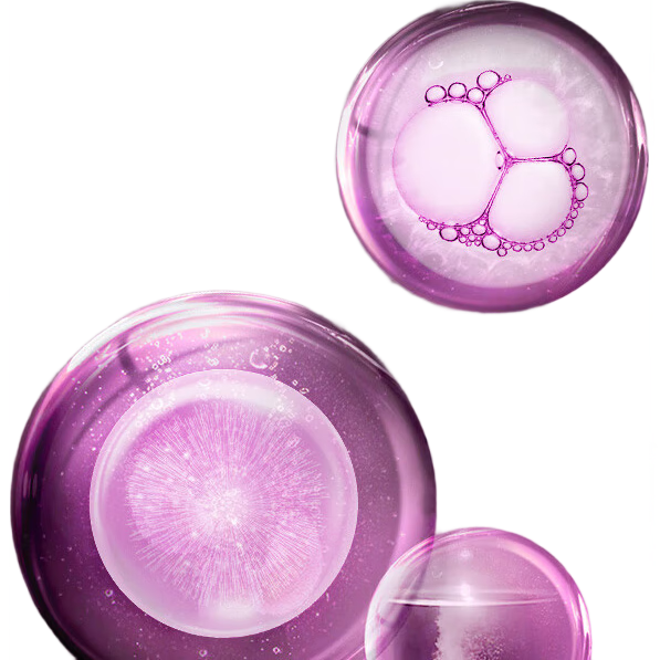 ������ ��ԭ���Ŀ��徫��ˮ 120ml ��ʪ��ˮ�����滺 80Ԫ