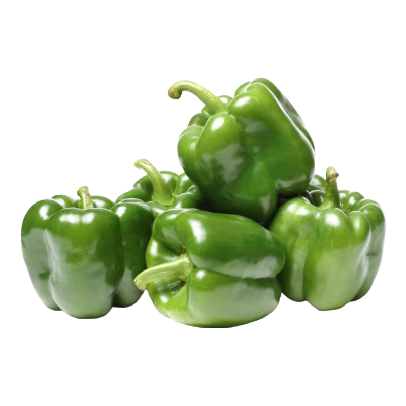 新鲜绿菜椒现摘山东圆椒青椒太空甜椒蔬菜灯笼椒生吃蔬菜沙拉 新鲜圆椒净重0.9斤
